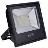 Generic 100 Watts Floodlight