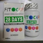 Organic Herbal Slimming Capsule