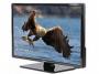 Sayona 24" LED Digital HD TV SY LED 24` - Black