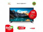 VIEWO 24 INCH Easter  Combo
