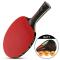 Generic 1PCS Evolution Performance-level Table Tennis Racket