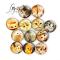 Generic 20pcs Fridge Sticker O Cat Comet Star Milk Cat Pattern Magne