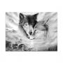 Generic Black White Wolves Wall Art Painting Picture No Frame Poster Home Bedroom Decor