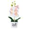 Generic Artificial Butterfly Orchid Bonsai  Flower With Pot Home Furniture Decor-White