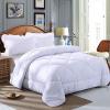 Fashion Pure White Duvet/Comforter Set