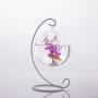 Generic Ball Shape Glass Planter Wall Hanging Flower Vase Plant Bottle Home