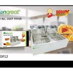 WNGREAT Commercial Double Stainless Steel Deep Fryer 12LITRES