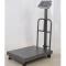 Generic 300KGS Digital Weigh Scale With Guard