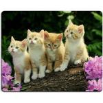 Generic KITTENS MOUSEPAD
