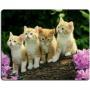 Generic KITTENS MOUSEPAD