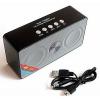 Wster WS-BT Portable BlueTooth Radio Speaker