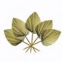 Generic 5Pcs Trimmed Dried Palm Leaves, Boho Wedding Decor, Hawaiian Party Table Decoration, Dried Wedding Flowers