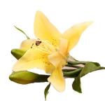 Generic 1 Pc 3 Heads Sweet Artificial Flower  Lily Floral Home Wedding Party Decor-Yellow