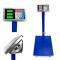 Generic COMERCIAL AND A HEAVY DUTY 300KGS - Digital Weigh Scale