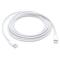 Apple USB-C TO C Cable (2M)