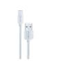 Punex Charger & Data Cable TYPE C