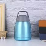 Generic 600ml Portable Vacuum Food Flask