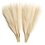 Generic Faux Pampas Grass - Pampas Grass Decor - 17 Inch