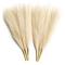 Generic Faux Pampas Grass - Pampas Grass Decor - 17 Inch