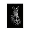 Generic Simple Black And White Animal Decoration Painting Study Living Room Sofa Background Wall Painting Without Frame, Size:21X30cm(Zebra)
