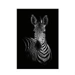 Generic Simple Black And White Animal Decoration Painting Study Living Room Sofa Background Wall Painting Without Frame, Size:21X30cm(Zebra)