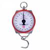 Comercial  And Inderstrial  Heavy Duty 100 Kgs Hanging Scale