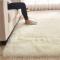 Fluffy Soft Fluffy Carpet 5*8  5 By 8 Carpets Cream White