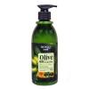 Bioaoua Shampoo With Olive Oil - 400g