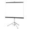 VisualApex Portable/Tripod 96 inch Projector Screen