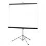 VisualApex Portable/Tripod 96 inch Projector Screen