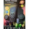 Royal Sound RS-288 Subwoofer,Bluetooth,USB,FM-10000watts