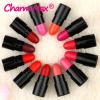 Charm Max 12 pcs Lipsticks Set Mini Cute Matte Lipstick/Travel Set