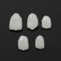 Generic 70pcs Dental Temporary Crown Anteriors Front Resin Teeth Tooth Methacrylate Caps