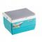 Pinnacle Cooler Box Chiller Portable + Free Ice Brick (Random Colors)