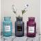 Generic Nordic Glass Flower Vase