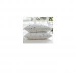 Generic 2 Fibre Pillows (750 Grms)