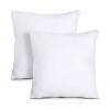 Generic 2PC Throw Pillows  18` X 18`