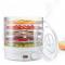 Generic Food Dehydrator Fruit Drying Dish Dryer Vegetable Electric