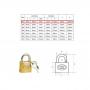 Tri Circle Tri-Circle Brass Padlock