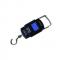 Generic Portable Digital Weighing Scale