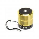 Wster Mini Bluetooth Speakers With MP3and FM Radio Gold