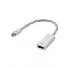 Generic Mini Display Port Thunderbolt DP To HDMI Adapter