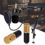 Green Audio Proffesional Studio Condenser Microphone BM800