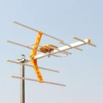 Phelistar Digital TV Aerial Antenna