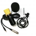 Green Audio BM700 Professional Studio Condenser Microphone