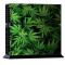 Generic Green Leaves Pattern Protective Skin Sticker Cover Skin Sticker for PS4 Game Console