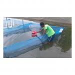 Generic High Quality Customized Happa Net