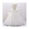Fashion Fancy Baby Girl Dress With A Headband