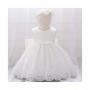 Fashion Fancy Baby Girl Dress With A Headband
