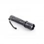 Generic Taser Flashlight